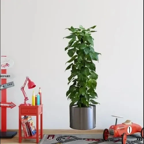 HERŞEYTREND Saksılı Bitki Tasarımlı Yapışkanlı Sticker Resim 90*30 cm MC-665 ürün görseli 1