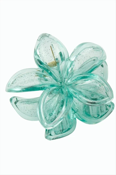 Çerçeveli Simli Lotus Toka 8 cm - Resim 2