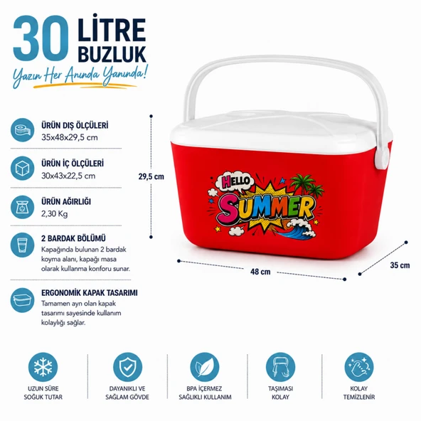 30 LT BUZZY RETRO BUZLUK TERMOS (1178 COOLER BOX) - Resim 2