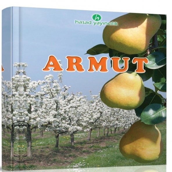 Armut Kitabı ürün görseli 1
