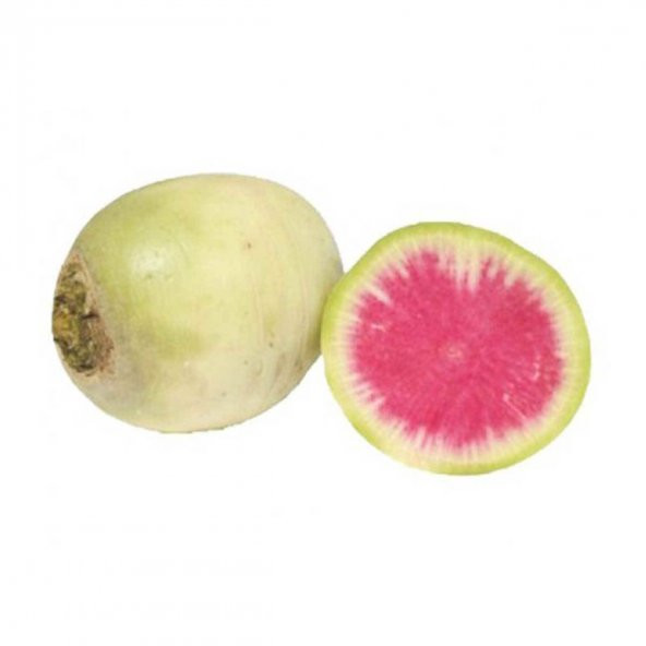 Doğal İçi Kırmızı Dışı Beyaz Sulu Watermelon Turp Tohumu (50 tohum) ürün görseli 1