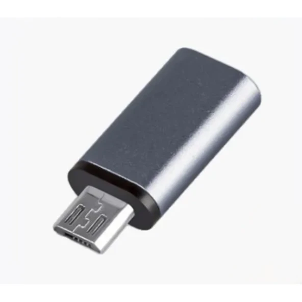 FT Ada22 Type-C To Micro Çevirici Mini Adaptör ZR352 ürün görseli 1