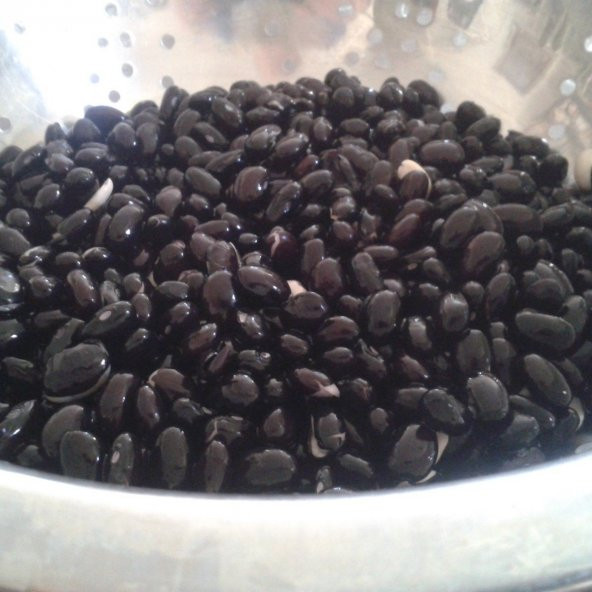 Doğal Black Turtle Siyah Fasulye Tohumu (10 tohum) ürün görseli 1