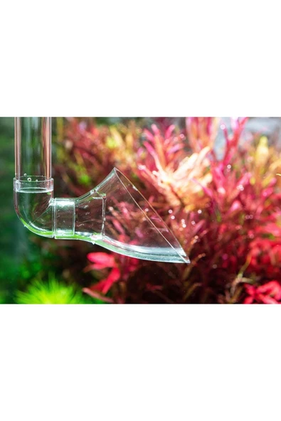 NEO AQUARIO Neo Outlet M - Resim 2