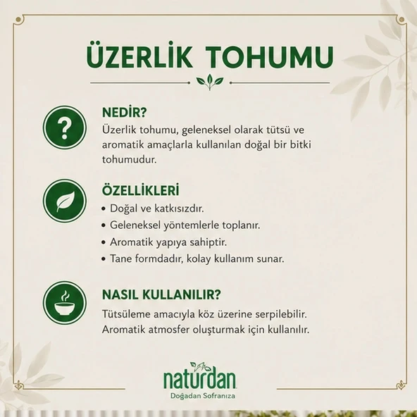 Üzerlik Tohumu 1 kg - Resim 3