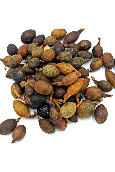 Defne Tohumu 1 Kg - Resim 3