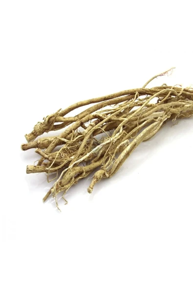Çin Geveni 50 gr Geven Otu Astragalus ürün görseli 1