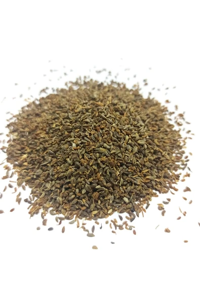 Maydanoz Tohumu 100 Gr - Resim 2