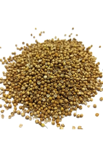 Kişniş Tane 250 Gr - Resim 2