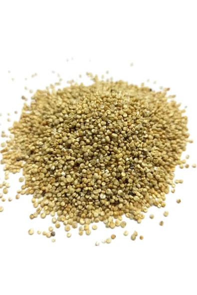 Kinoa Tohumu 100 Gr - Resim 2
