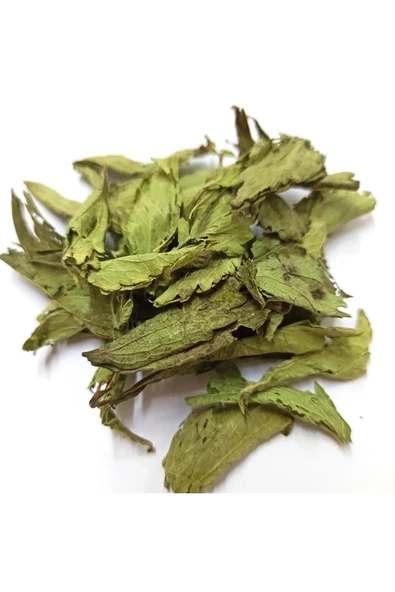 Stevia Şeker Otu 1 Kg - Resim 2