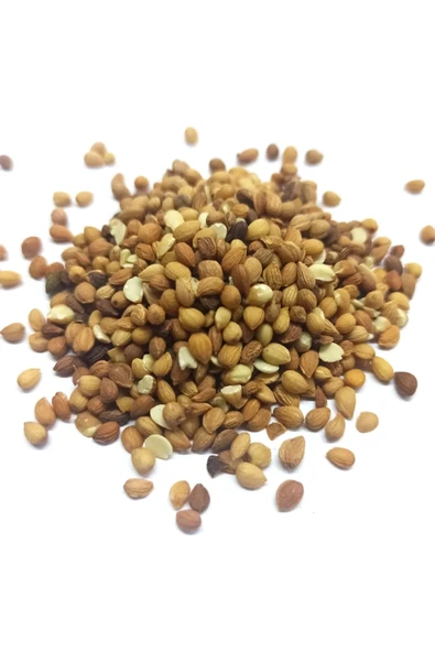 Mahlep Tane 250 gr - Resim 2