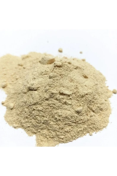 Soğan Tozu 1 Kg - Resim 2