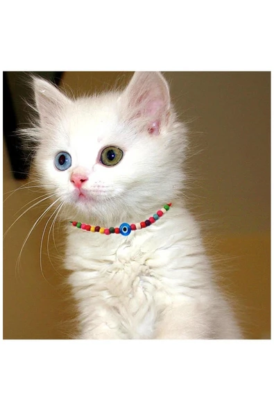 Karışık Renk Bambu Boncuk Nazar Boncuklu Kedi Tasması ürün görseli 1
