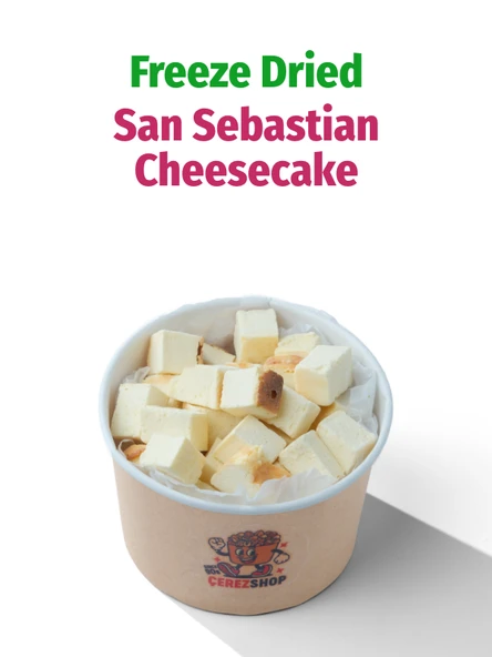 Freeze Dried San Sebastian Cheesecake – Kurutulmuş Çıtır Cheesecake Küpleri, Karamelize Atıştırmalık ürün görseli 1