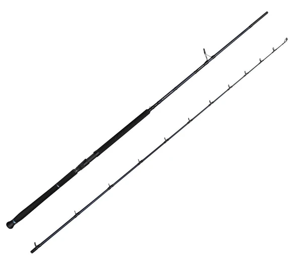 Savage Gear Defiance SG2 Shore Jig 3.05m 60-150gr 2 Parça Olta Kamışı ürün görseli 1
