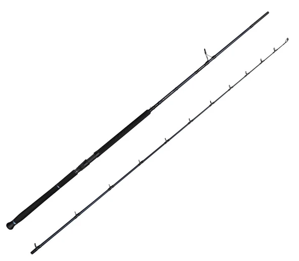 Savage Gear Defiance SG2 Shore Jig 2.90m 20-80gr 2 Parça Olta Kamışı ürün görseli 1