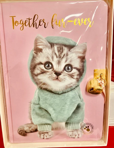 STUDİO PETS kilitli hatıra def.KEDİLİ-PEMBE ürün görseli 1