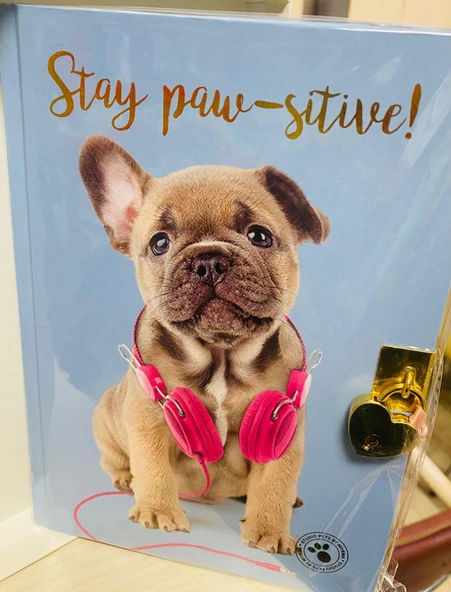 STUDİO PETS kilitli hatıra def.KÖPEKLİ-MAVİ - Resim 3