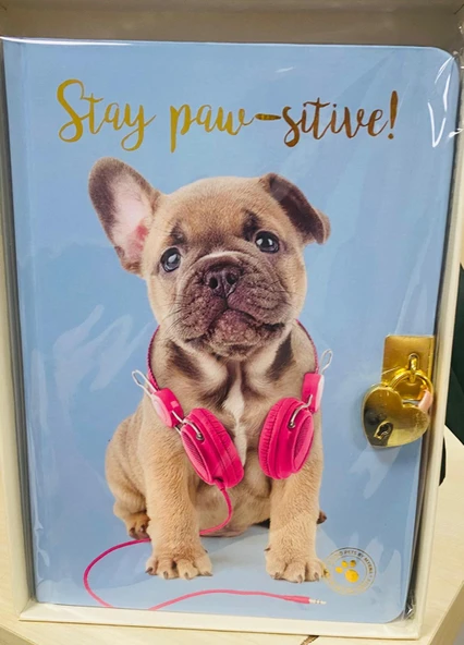 STUDİO PETS kilitli hatıra def.KÖPEKLİ-MAVİ ürün görseli 1