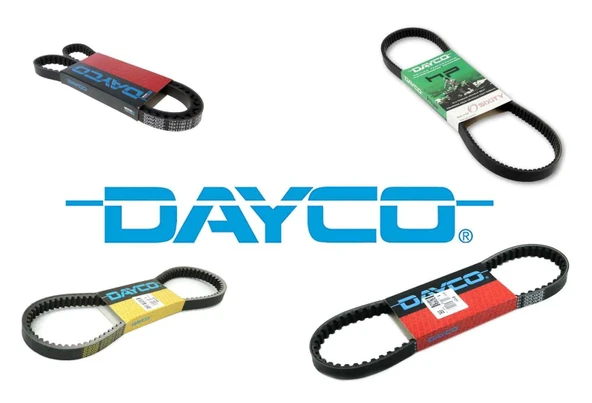 18-736 Le Kayış Dayco 8134K ürün görseli 1
