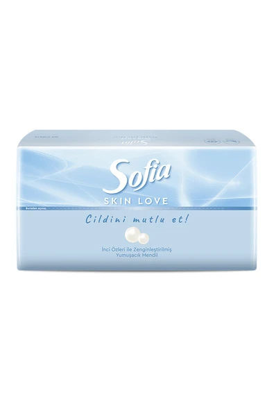 3 ADET  Sofia Skın Love Mendil 100'lü - Resim 2