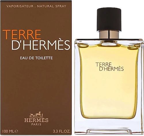 Hermes Terre D'Hermes EDT 100 ml Erkek Parfüm ürün görseli 1