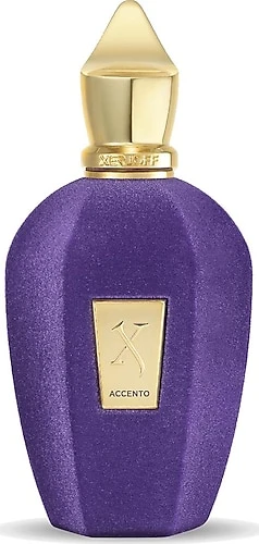 Xerjoff Accento EDP 100 ml Unisex Parfüm ürün görseli 1