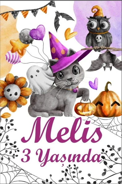 Hallowen Temalı Doğum Günü Afişi - 35x50 Cm ürün görseli 1