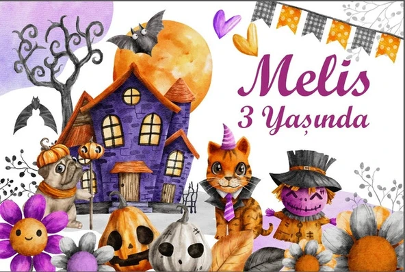 Hallowen Temalı Doğum Günü Afişi - 35x50 Cm ürün görseli 1