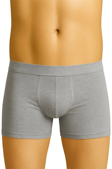 Arias Closet Gri MI Emay 6800 Erkek Boxer ürün görseli 1