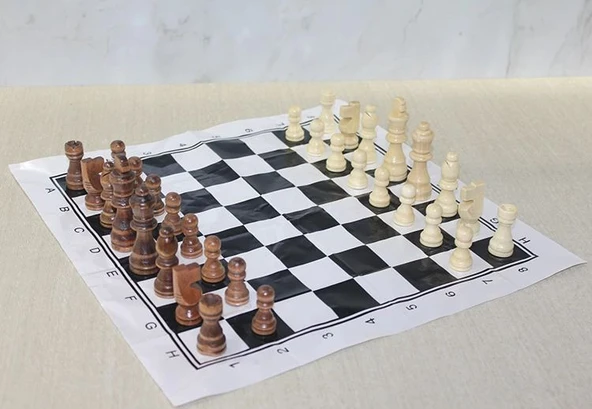 Ahşap Satranç Taşı 10 Cm Alk4017 ürün görseli 1