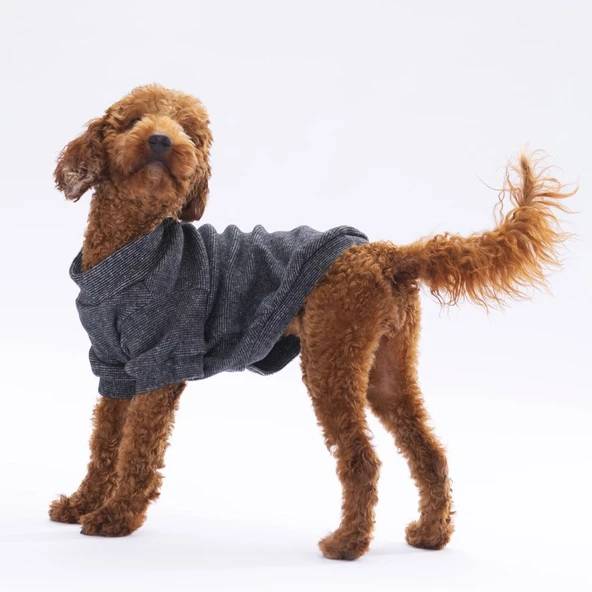Pawstar Black Merino Sweat Large 30X33X46 cm - 24722-L ürün görseli 1