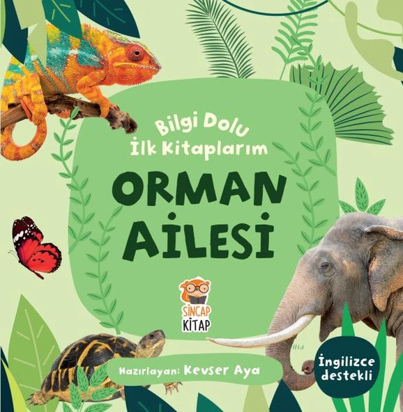 Orman Ailesi - Bilgi Dolu İlk Kitaplarım ürün görseli 1