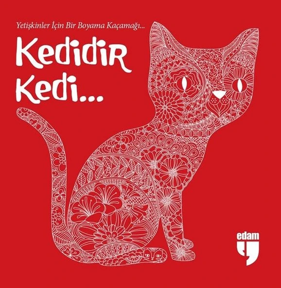 Kedidir Kedi... ürün görseli 1