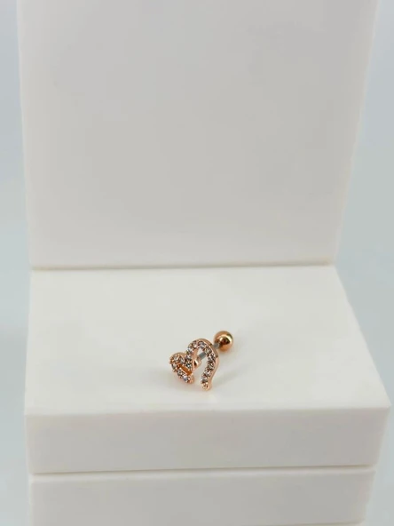 Tragus Kıkırdak Küpesi ürün görseli 1