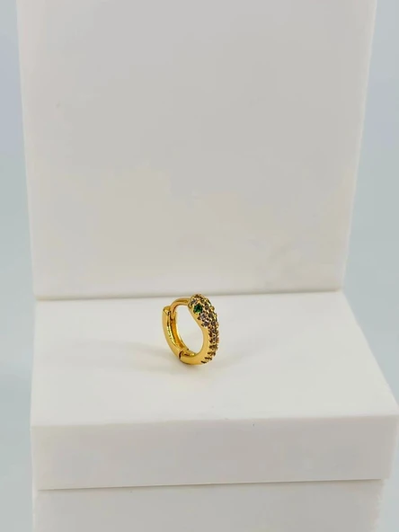 Tragus Kıkırdak Küpesi ürün görseli 1