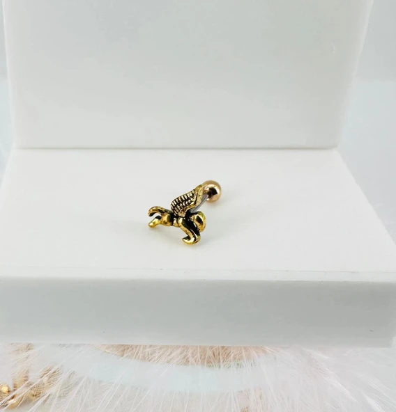 Tragus Kıkırdak Küpesi ürün görseli 1