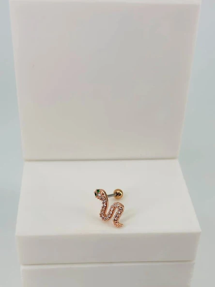 Tragus Kıkırdak Küpesi ürün görseli 1