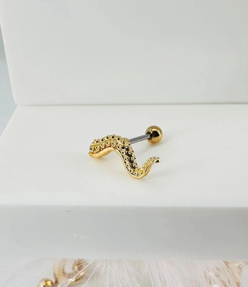 Tragus Kıkırdak Küpesi ürün görseli 1