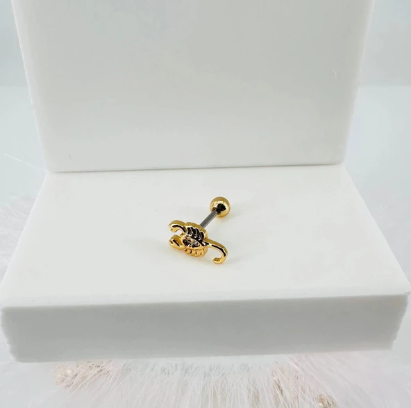 Tragus Kıkırdak Küpesi ürün görseli 1