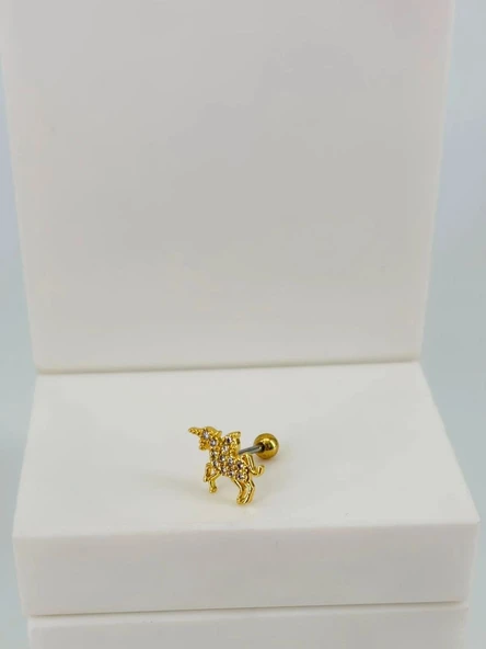 Tragus Kıkırdak Küpesi ürün görseli 1