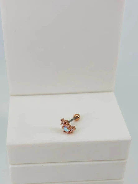 Tragus Kıkırdak Küpesi ürün görseli 1