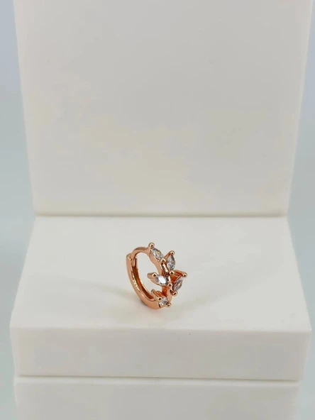 Tragus Kıkırdak Küpesi ürün görseli 1