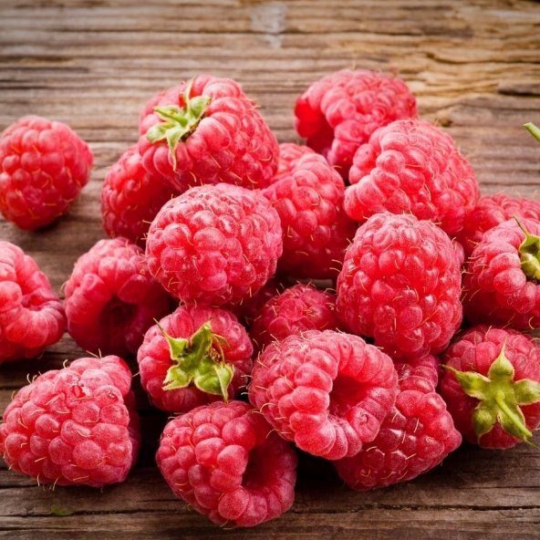 Tüplü Bol Verimli Aromatik Yediveren Ahududu Fidanı ürün görseli 1