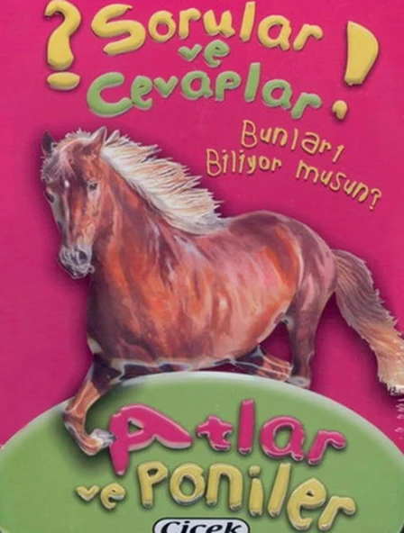 Sorular Ve Cevaplar Kart Atlar Ve Poniler ürün görseli 1