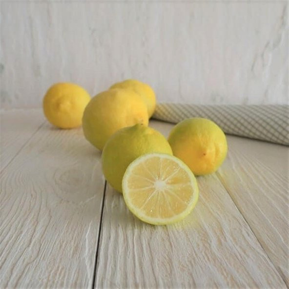 Tüplü Aşılı Tatlı Şeker Limon Fidanı Meyve Verme Yaşında ürün görseli 1