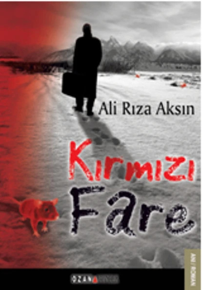 Kırmızı Fare ürün görseli 1