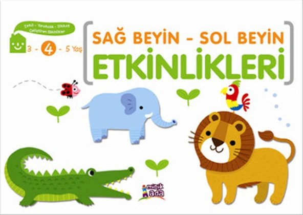 Sağ Beyin - Sol Beyin Etkinlikleri (4 Yaş) ürün görseli 1