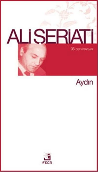 Aydın ürün görseli 1